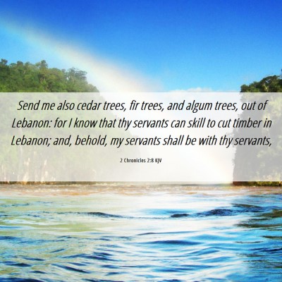 Picture 06 - 2 Chronicles 2:8 KJV - Send me also cedar trees, fir trees, and algum - Bible Verse Picture