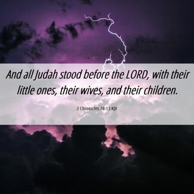 Picture 06 - 2 Chronicles 20:13 KJV - And all Judah stood before the LORD, with their - Bible Verse Picture