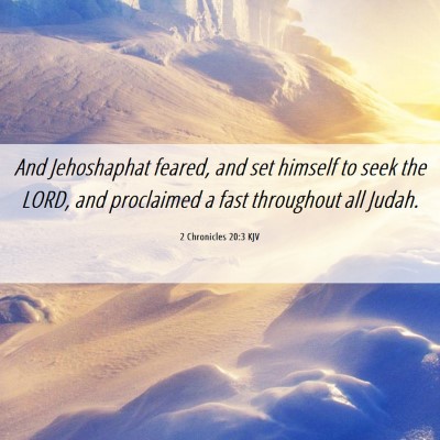 Picture 06 - 2 Chronicles 20:3 KJV - And Jehoshaphat feared, and set himself to seek - Bible Verse Picture