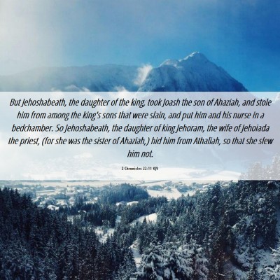 Picture 06 - 2 Chronicles 22:11 KJV - But Jehoshabeath, the daughter of the king, took - Bible Verse Picture