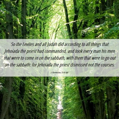Picture 06 - 2 Chronicles 23:8 KJV - So the Levites and all Judah did according to all - Bible Verse Picture