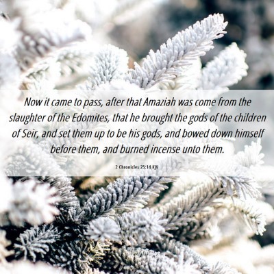 Picture 06 - 2 Chronicles 25:14 KJV - Now it came to pass, after that Amaziah was come - Bible Verse Picture