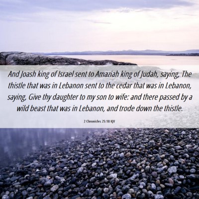 Picture 06 - 2 Chronicles 25:18 KJV - And Joash king of Israel sent to Amaziah king of - Bible Verse Picture