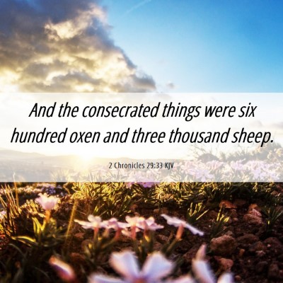 Picture 06 - 2 Chronicles 29:33 KJV - And the consecrated things were six hundred oxen - Bible Verse Picture