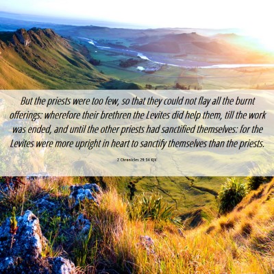 Picture 06 - 2 Chronicles 29:34 KJV - But the priests were too few, so that they could - Bible Verse Picture