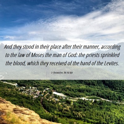 Picture 06 - 2 Chronicles 30:16 KJV - And they stood in their place after their manner, - Bible Verse Picture