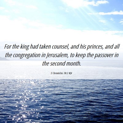Picture 06 - 2 Chronicles 30:2 KJV - For the king had taken counsel, and his princes, - Bible Verse Picture