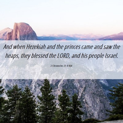 Picture 06 - 2 Chronicles 31:8 KJV - And when Hezekiah and the princes came and saw - Bible Verse Picture
