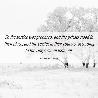 Picture 06 - 2 Chronicles 35:10 KJV - So the service was prepared, and the priests - Bible Verse Picture