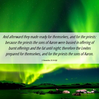 Picture 06 - 2 Chronicles 35:14 KJV - And afterward they made ready for themselves, and - Bible Verse Picture