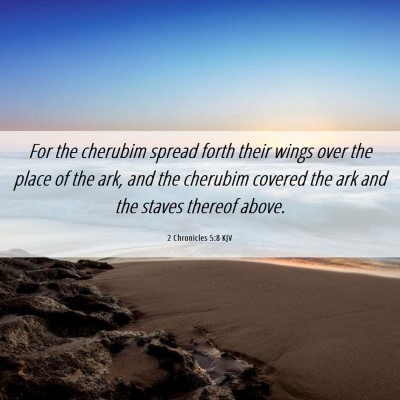 Picture 06 - 2 Chronicles 5:8 KJV - For the cherubim spread forth their wings over - Bible Verse Picture