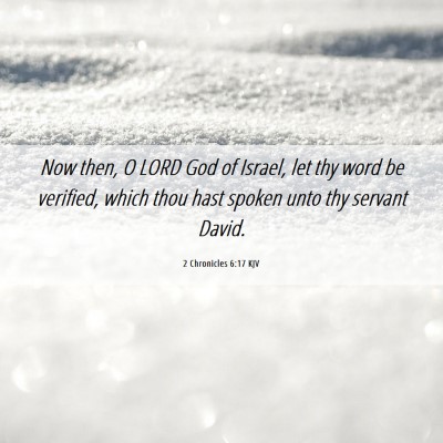 Picture 06 - 2 Chronicles 6:17 KJV - Now then, O LORD God of Israel, let thy word be - Bible Verse Picture