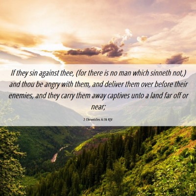 Picture 06 - 2 Chronicles 6:36 KJV - If they sin against thee, (for there is no man - Bible Verse Picture