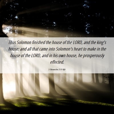 Picture 06 - 2 Chronicles 7:11 KJV - Thus Solomon finished the house of the LORD, and - Bible Verse Picture