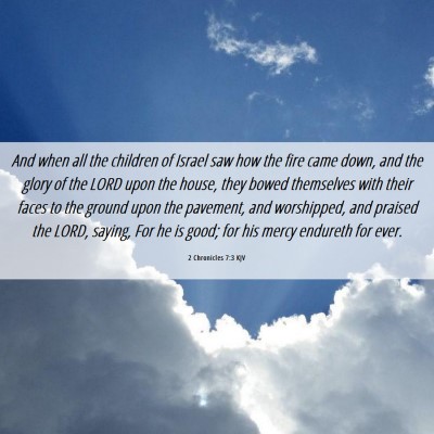 Picture 06 - 2 Chronicles 7:3 KJV - And when all the children of Israel saw how the - Bible Verse Picture