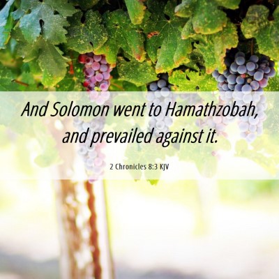 Picture 06 - 2 Chronicles 8:3 KJV - And Solomon went to Hamathzobah, and prevailed - Bible Verse Picture