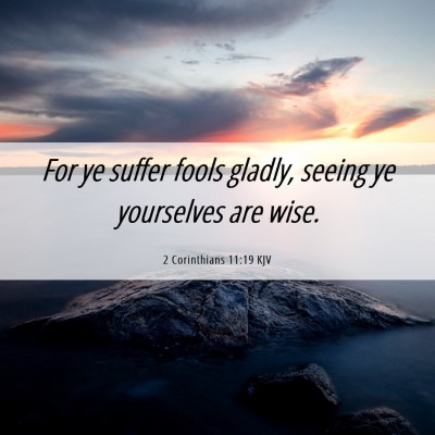 Picture 06 - 2 Corinthians 11:19 KJV - For ye suffer fools gladly, seeing ye yourselves - Bible Verse Picture