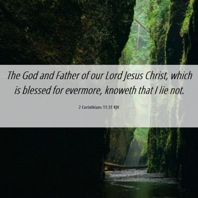 Picture 06 - 2 Corinthians 11:31 KJV - The God and Father of our Lord Jesus Christ, - Bible Verse Picture