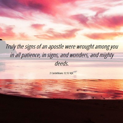 Picture 06 - 2 Corinthians 12:12 KJV - Truly the signs of an apostle were wrought among - Bible Verse Picture