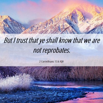 Picture 06 - 2 Corinthians 13:6 KJV - But I trust that ye shall know that we are not - Bible Verse Picture