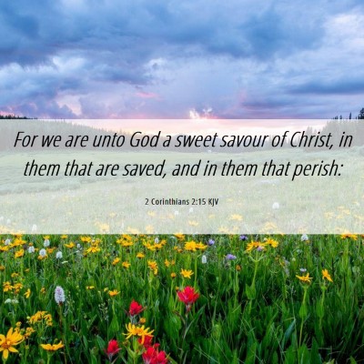 Picture 06 - 2 Corinthians 2:15 KJV - For we are unto God a sweet savour of Christ, in - Bible Verse Picture