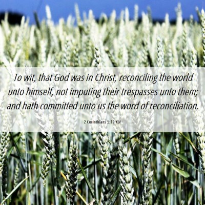 Picture 06 - 2 Corinthians 5:19 KJV - To wit, that God was in Christ, reconciling the - Bible Verse Picture