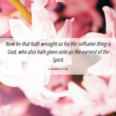 Picture 06 - 2 Corinthians 5:5 KJV - Now he that hath wrought us for the selfsame - Bible Verse Picture