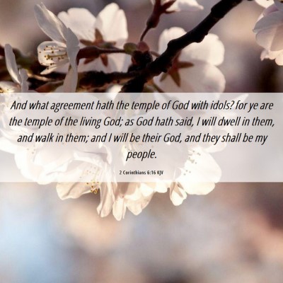Picture 06 - 2 Corinthians 6:16 KJV - And what agreement hath the temple of God with - Bible Verse Picture