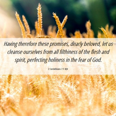 Picture 06 - 2 Corinthians 7:1 KJV - Having therefore these promises, dearly beloved, - Bible Verse Picture