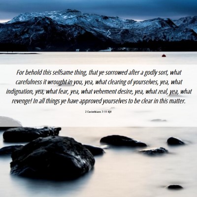 Picture 06 - 2 Corinthians 7:11 KJV - For behold this selfsame thing, that ye sorrowed - Bible Verse Picture