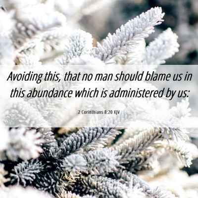 Picture 06 - 2 Corinthians 8:20 KJV - Avoiding this, that no man should blame us in - Bible Verse Picture
