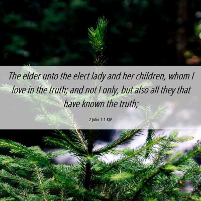 Picture 06 - 2 John 1:1 KJV - The elder unto the elect lady and her children, - Bible Verse Picture