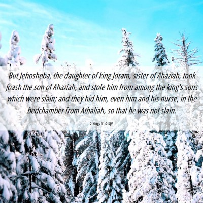 Picture 06 - 2 Kings 11:2 KJV - But Jehosheba, the daughter of king Joram, sister - Bible Verse Picture