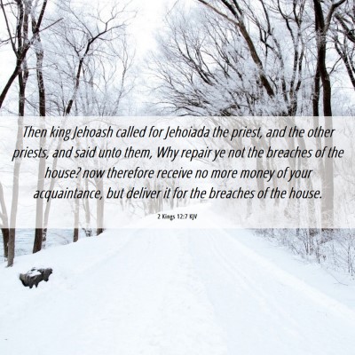 Picture 06 - 2 Kings 12:7 KJV - Then king Jehoash called for Jehoiada the priest, - Bible Verse Picture