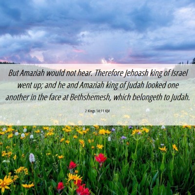 Picture 06 - 2 Kings 14:11 KJV - But Amaziah would not hear. Therefore Jehoash - Bible Verse Picture