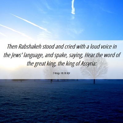 Picture 06 - 2 Kings 18:28 KJV - Then Rabshakeh stood and cried with a loud voice - Bible Verse Picture