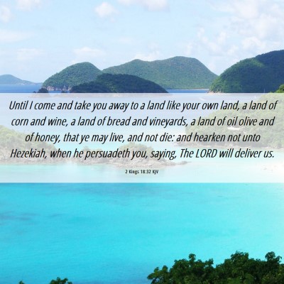 Picture 06 - 2 Kings 18:32 KJV - Until I come and take you away to a land like - Bible Verse Picture