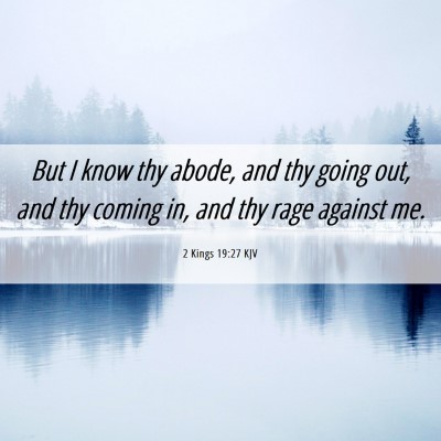 Picture 06 - 2 Kings 19:27 KJV - But I know thy abode, and thy going out, and thy - Bible Verse Picture
