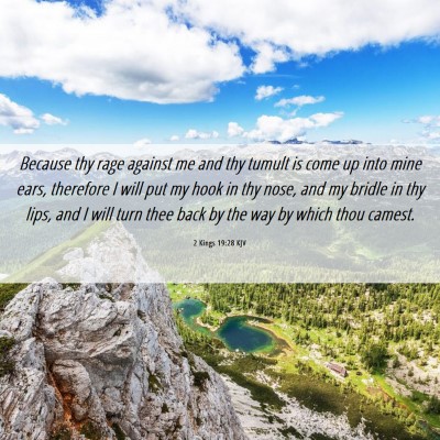 Picture 06 - 2 Kings 19:28 KJV - Because thy rage against me and thy tumult is - Bible Verse Picture