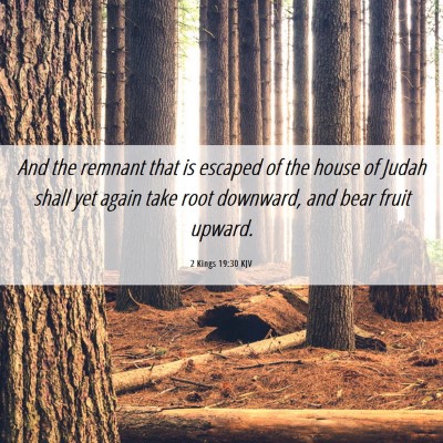 Picture 06 - 2 Kings 19:30 KJV - And the remnant that is escaped of the house of - Bible Verse Picture