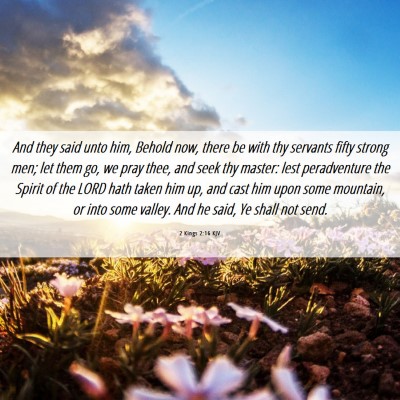 Picture 06 - 2 Kings 2:16 KJV - And they said unto him, Behold now, there be with - Bible Verse Picture