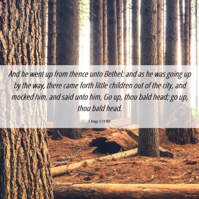 Picture 06 - 2 Kings 2:23 KJV - And he went up from thence unto Bethel: and as he - Bible Verse Picture