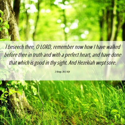 Picture 06 - 2 Kings 20:3 KJV - I beseech thee, O LORD, remember now how I have - Bible Verse Picture