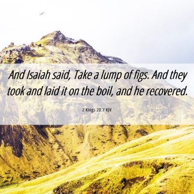 Picture 06 - 2 Kings 20:7 KJV - And Isaiah said, Take a lump of figs. And they - Bible Verse Picture