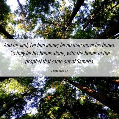 Picture 06 - 2 Kings 23:18 KJV - And he said, Let him alone; let no man move his - Bible Verse Picture