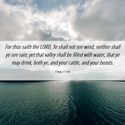Picture 06 - 2 Kings 3:17 KJV - For thus saith the LORD, Ye shall not see wind, - Bible Verse Picture