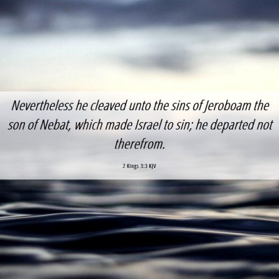 Picture 06 - 2 Kings 3:3 KJV - Nevertheless he cleaved unto the sins of Jeroboam - Bible Verse Picture