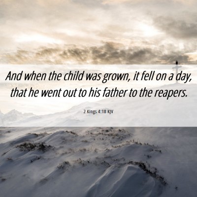 Picture 06 - 2 Kings 4:18 KJV - And when the child was grown, it fell on a day, - Bible Verse Picture