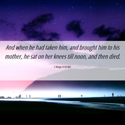 Picture 06 - 2 Kings 4:20 KJV - And when he had taken him, and brought him to his - Bible Verse Picture