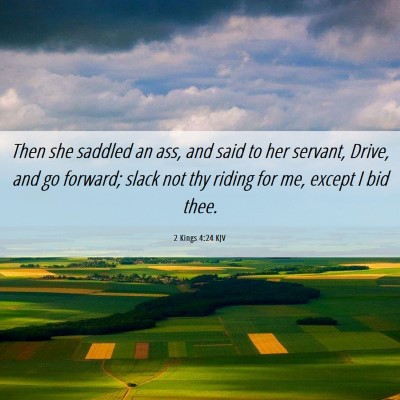 Picture 06 - 2 Kings 4:24 KJV - Then she saddled an ass, and said to her servant, - Bible Verse Picture